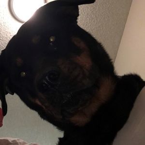 Meet your Posher, Nick